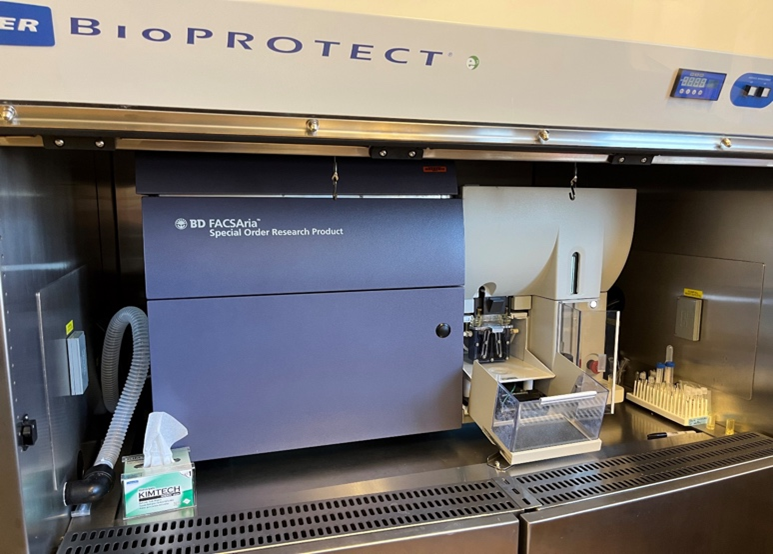 FACSAria flow cytotometer