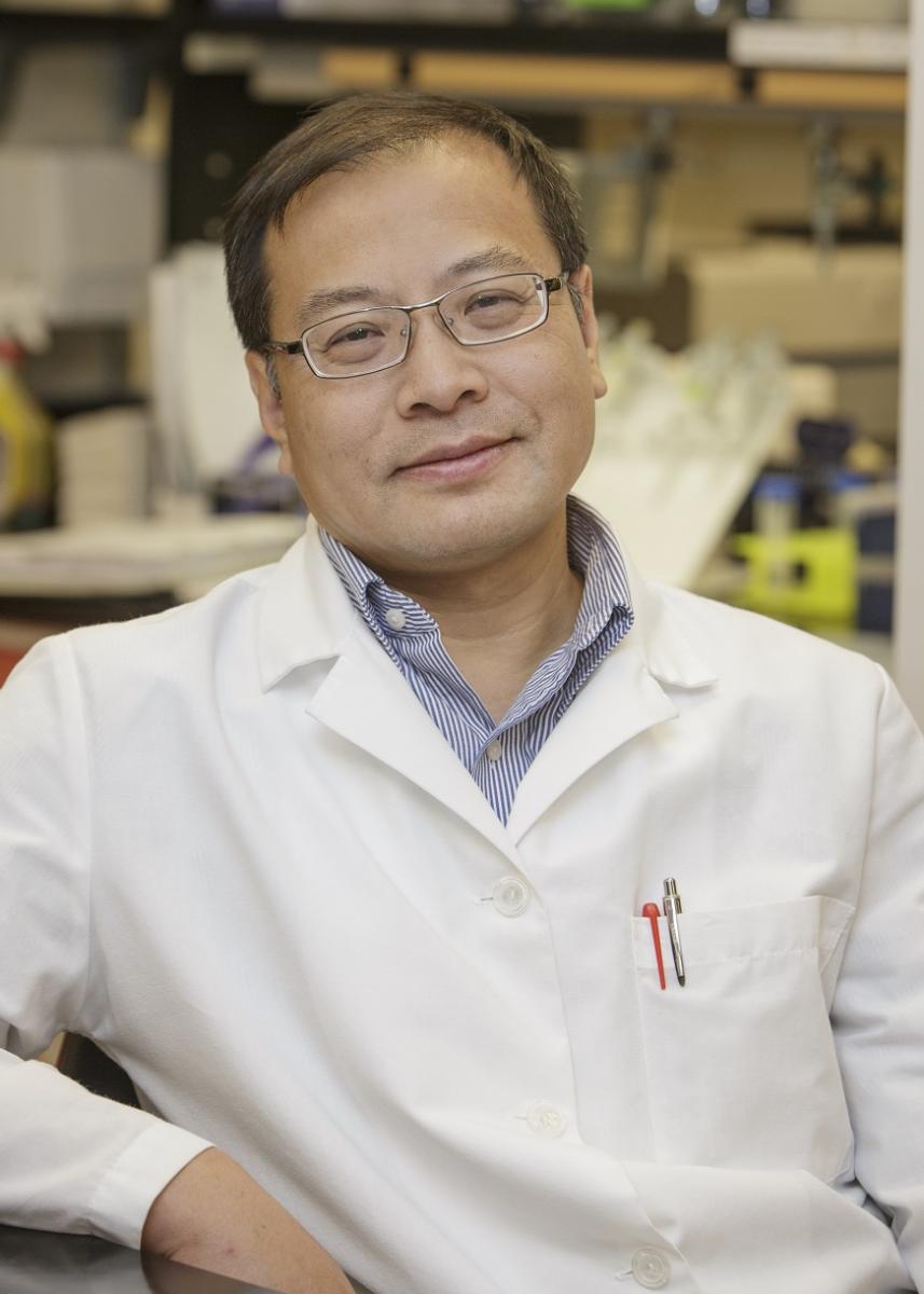 dr. lin liu